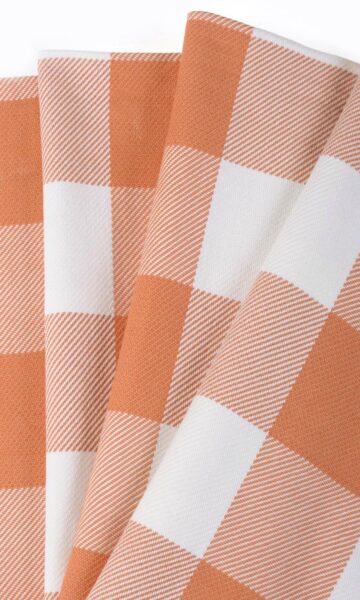 Checked Custom Roman Shades