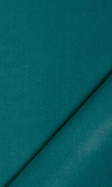 GREEN VELVET CURTAINS & ROMAN SHADES